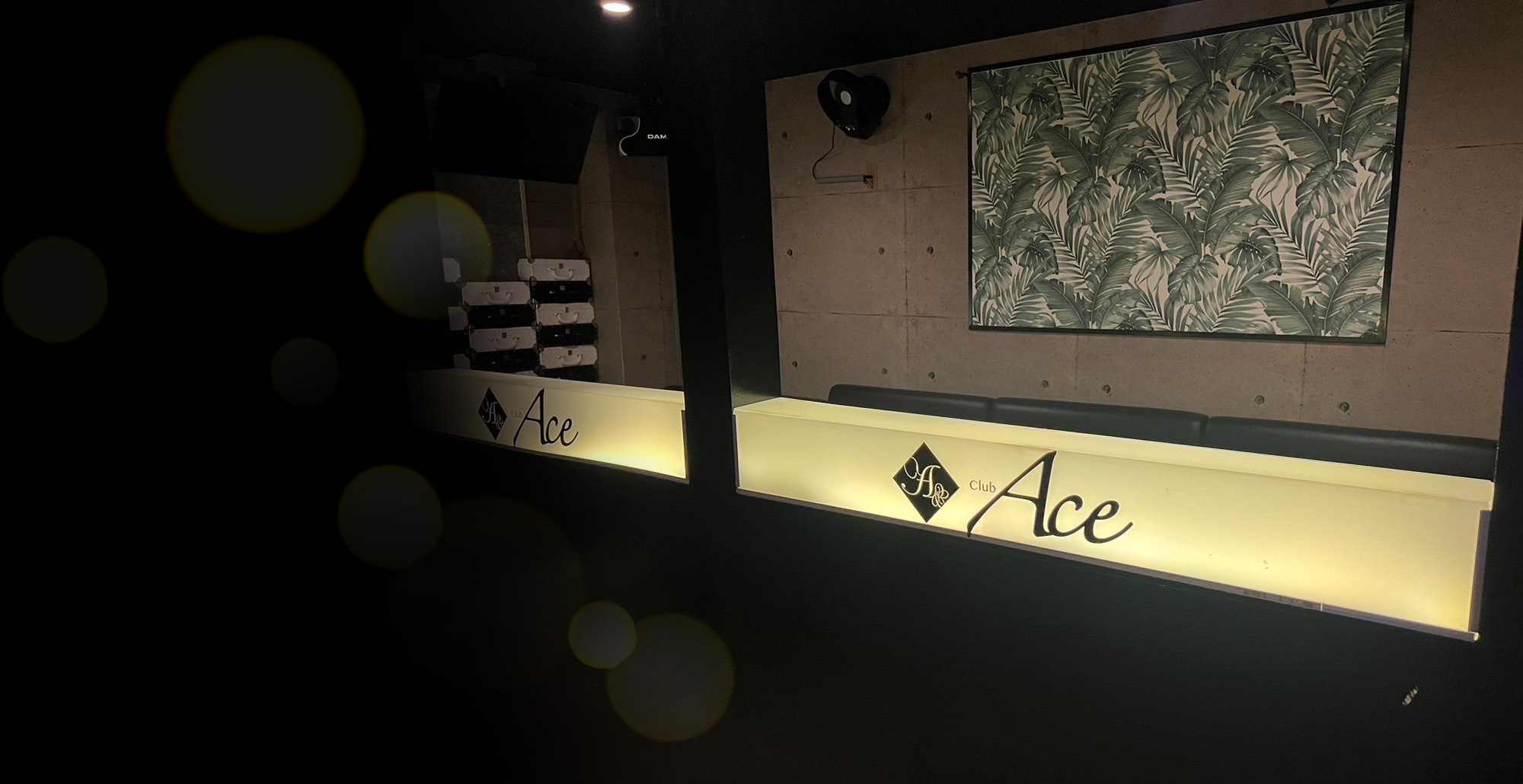 Club ACE